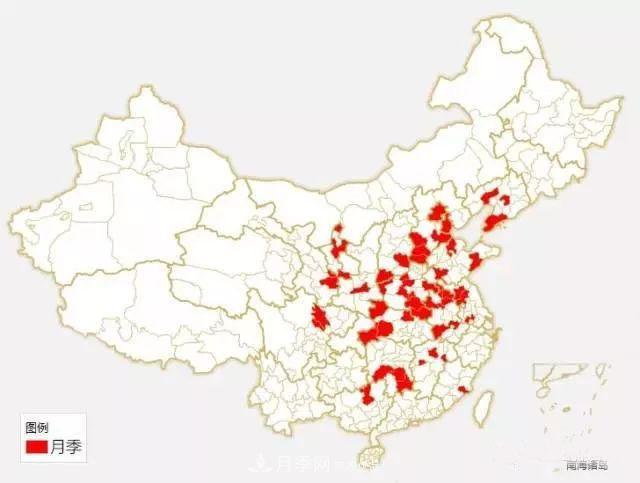 中國各城市市花大集合！月季是51個城市市花具首位(圖1)