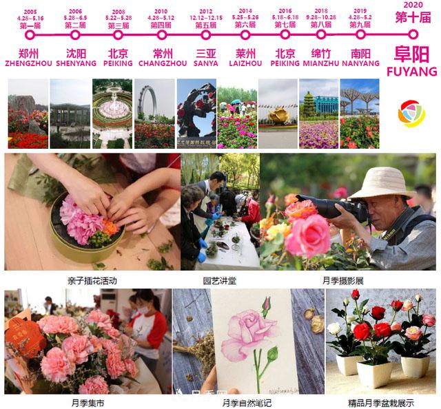 安徽阜陽高效推進第十屆中國月季展籌備工作(圖1)