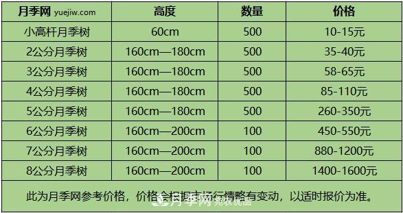 1、3、6公分南陽(yáng)樹(shù)狀月季多少錢(qián)一棵？樹(shù)狀月季價(jià)格表！(圖2)