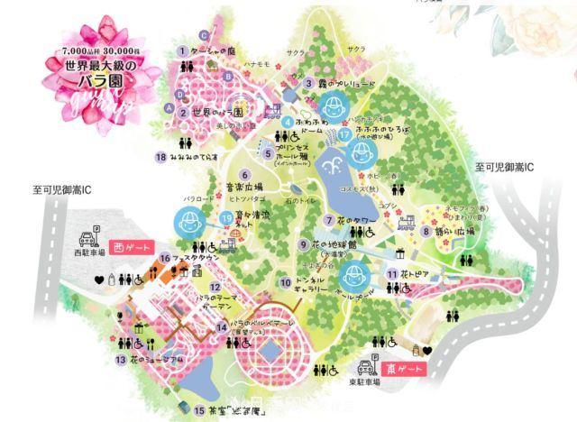 走進(jìn)世界***大月季園，近7000個(gè)品種，30000棵月季……(圖6)