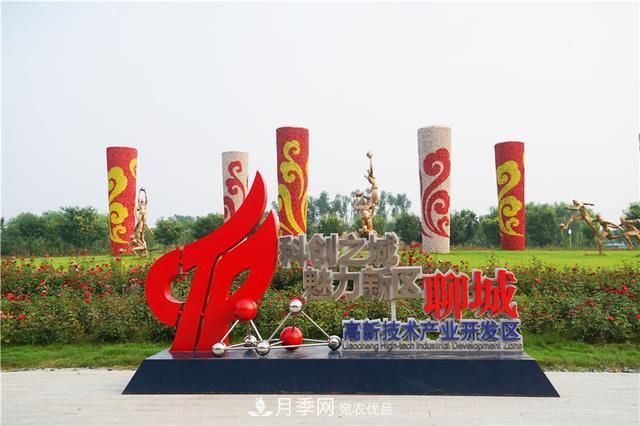 山東濟南的后花園，童話般月季花王國，300畝900個品種月季花盛放(圖3)