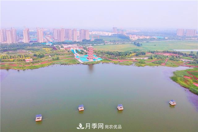 山東濟南的后花園，童話般月季花王國，300畝900個品種月季花盛放(圖9)