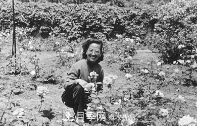 她潛心研究月季，帶領(lǐng)中國月季走向世界，被稱為“月季夫人”(圖4)