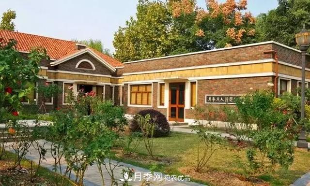 她潛心研究月季，帶領(lǐng)中國月季走向世界，被稱為“月季夫人”(圖3)