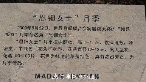 她潛心研究月季，帶領(lǐng)中國月季走向世界，被稱為“月季夫人”(圖9)