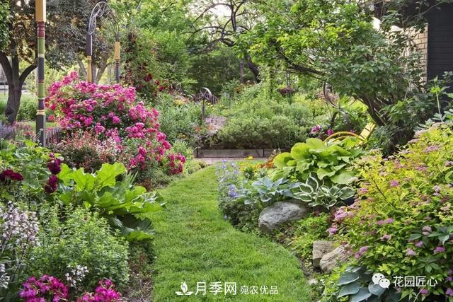 八月月季花卉養(yǎng)護(hù)，園丁的打理事宜(圖1)