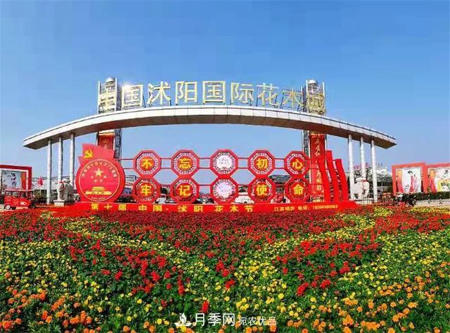 這些中國(guó)著名苗木產(chǎn)地你知道幾個(gè)？值得收藏！(圖2)