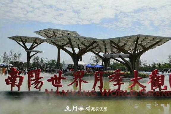 南陽世界月季大觀園：只愛園中月季美，不羨他鄉(xiāng)百花艷(圖1)