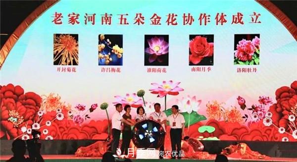“老家河南·五朵金花”究竟是誰(shuí)？南陽(yáng)月季榜上有名(圖1)
