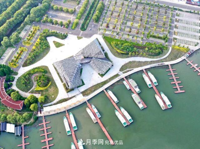 蘇洲金雞湖畔！大美月季花海！(圖21)