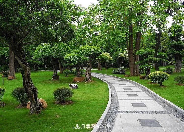破解苗木行業(yè)需求的發(fā)展變化，弄懂才能賺錢?！(圖1)