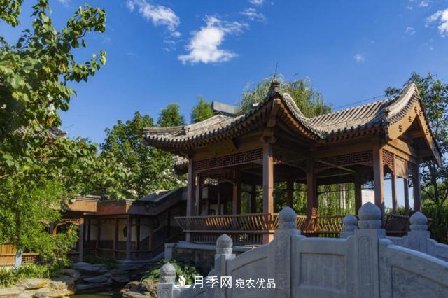 今夏到北京豐臺，看亭臺樓閣，賞各色月季(圖4)