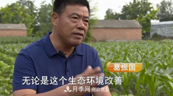 河南商丘男子種苗木，半年營業(yè)額達3000萬(圖3)