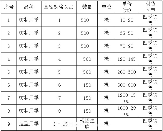 安徽樹(shù)狀月季的價(jià)格？樹(shù)狀月季各規(guī)格多少錢(qián)一棵？(圖4)