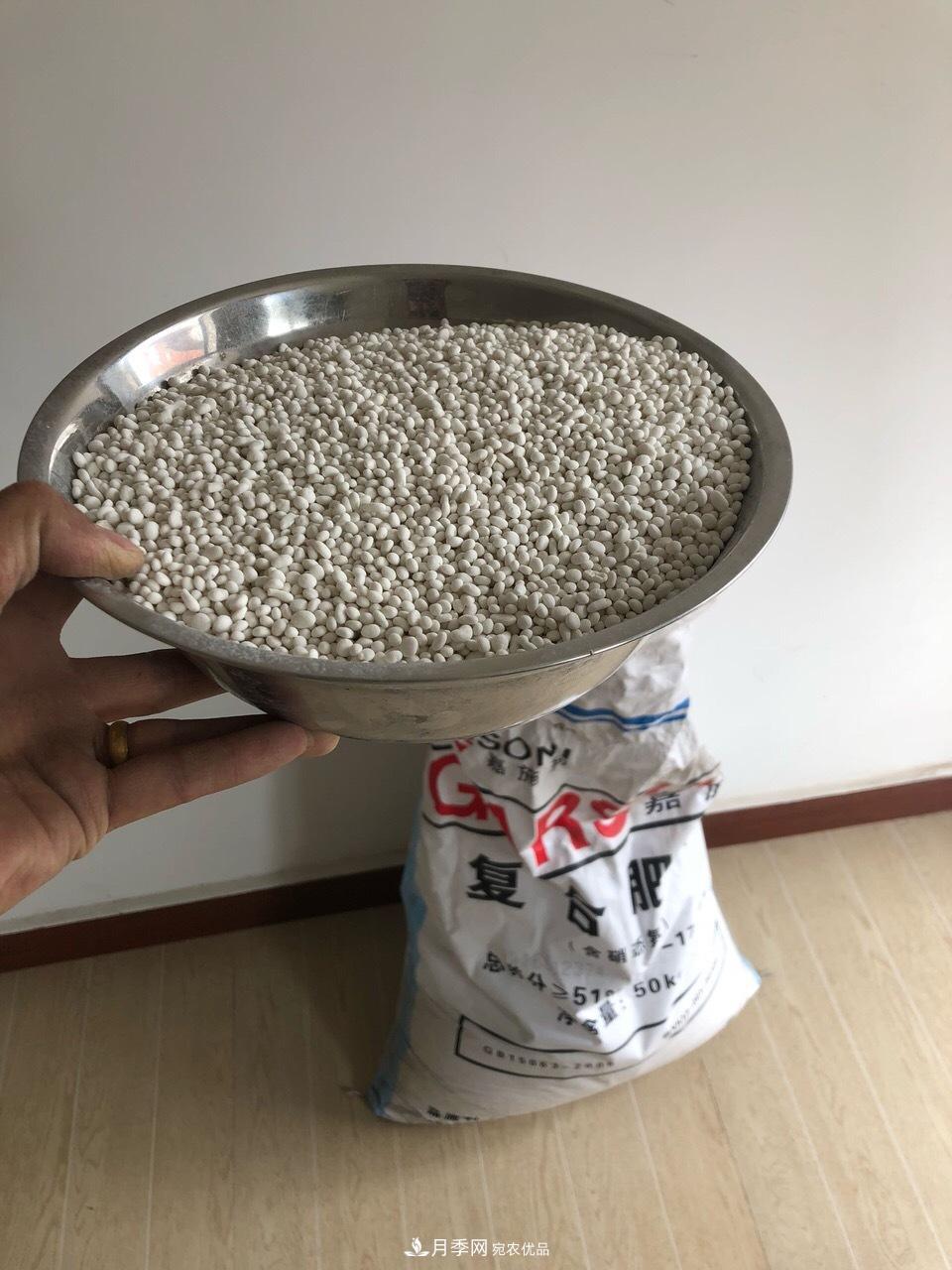 養(yǎng)月季花必備“3種肥”，每月花盆撒一點(圖2)