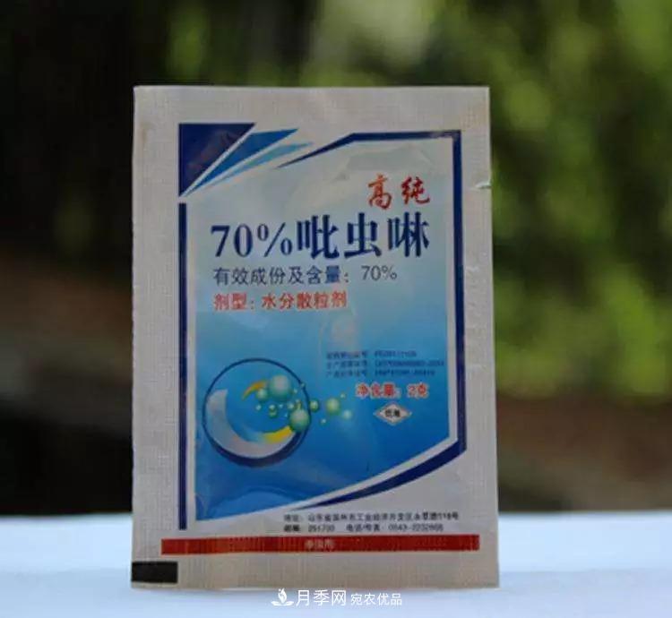 春天月季養(yǎng)護的“四句真言”，預防病蟲害，不愁沒花看！(圖3)
