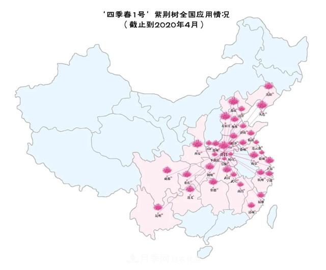 苗木產(chǎn)品的價(jià)格、價(jià)值和供需——三角關(guān)系之動(dòng)態(tài)平衡(圖6)