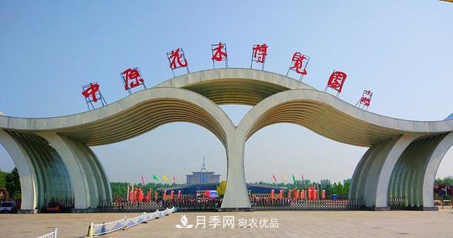 鄢陵：云上2020年中原花木交易博覽會(huì)9月26日開(kāi)幕(圖1)