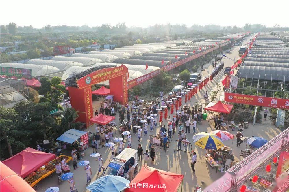 花木盛會，2020第八屆中國?沭陽花木節(jié)將于9月29日開幕！誠邀您大駕光臨！(圖13)