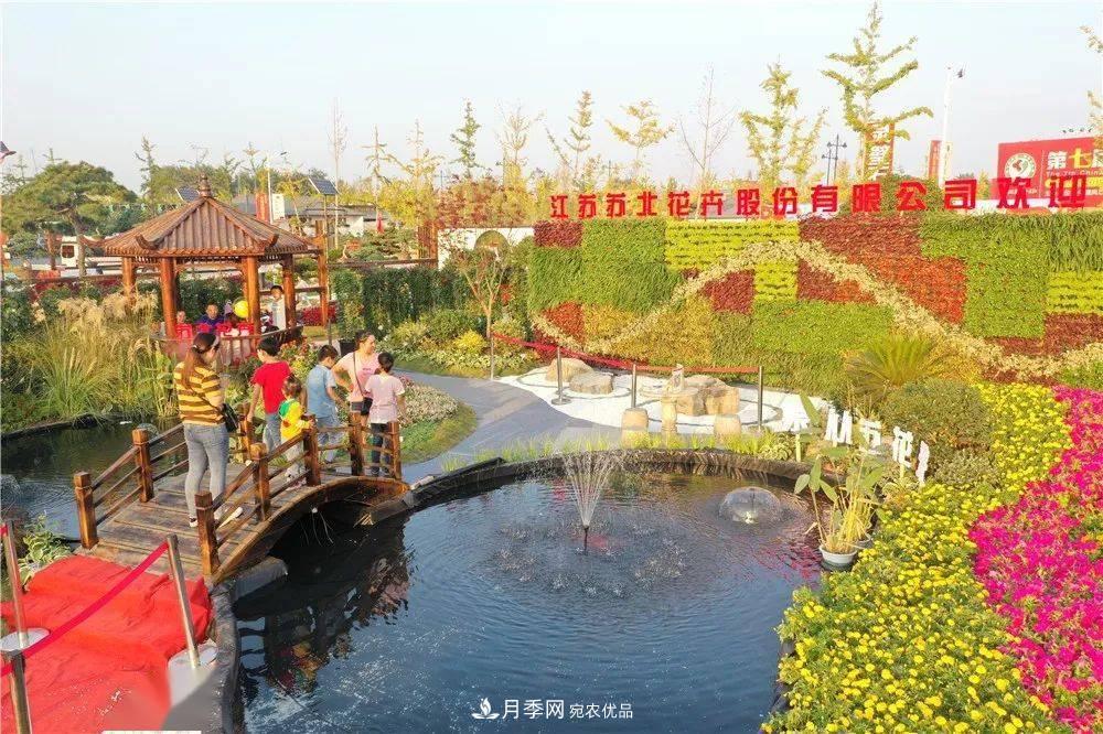 花木盛會，2020第八屆中國?沭陽花木節(jié)將于9月29日開幕！誠邀您大駕光臨！(圖14)