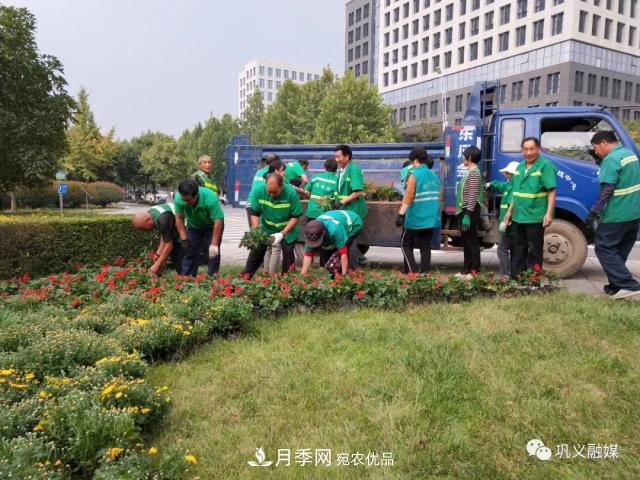 美！6萬盆景觀花卉扮靚鄭州鞏義城區(qū)(圖2)