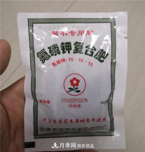 買(mǎi)月季花時(shí)贈(zèng)送的小包肥料和生根粉是真是假？教你辨別(圖1)