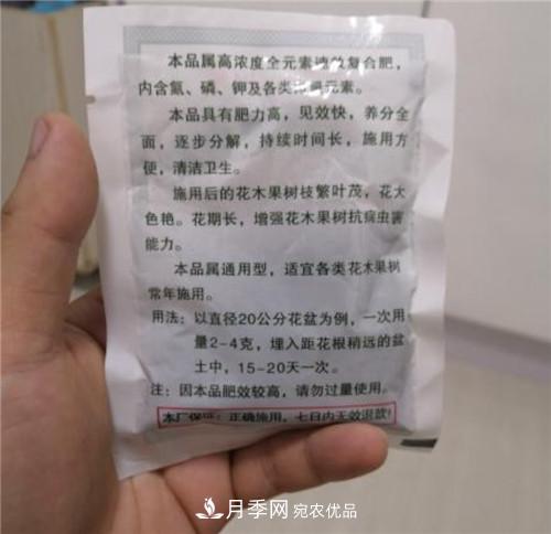 買(mǎi)月季花時(shí)贈(zèng)送的小包肥料和生根粉是真是假？教你辨別(圖2)