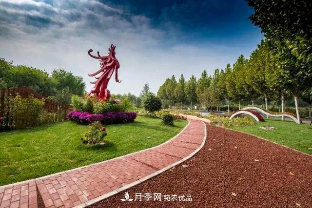 北京大興魏善莊月季小鎮(zhèn)千余種月季進(jìn)入盛花期，這個(gè)十一等您來(lái)(圖2)
