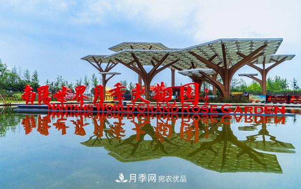 南陽(yáng)世界月季大觀園關(guān)于發(fā)行年票的公告(圖1)