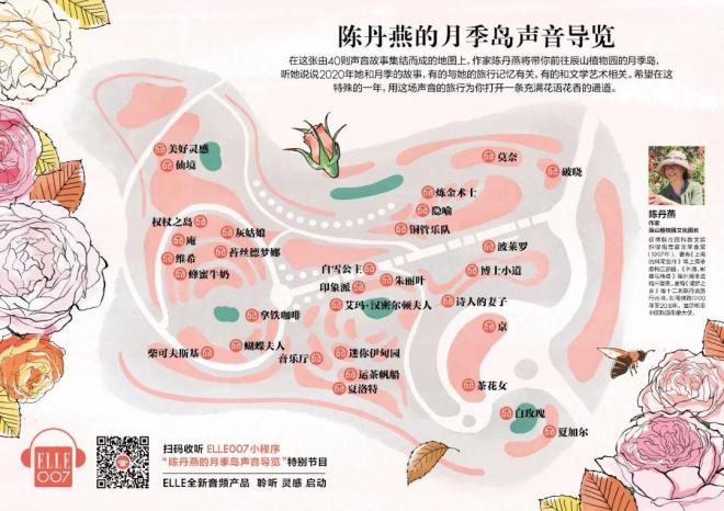 陳丹燕：不能旅行的日子，她開始與月季對話(圖15)