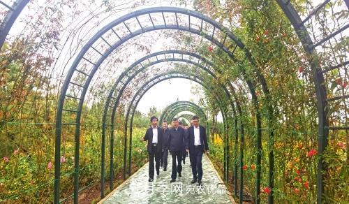 紀(jì)念南水北調(diào)南陽(yáng)深厚友誼，北京京宛友誼月季園開(kāi)園(圖2)