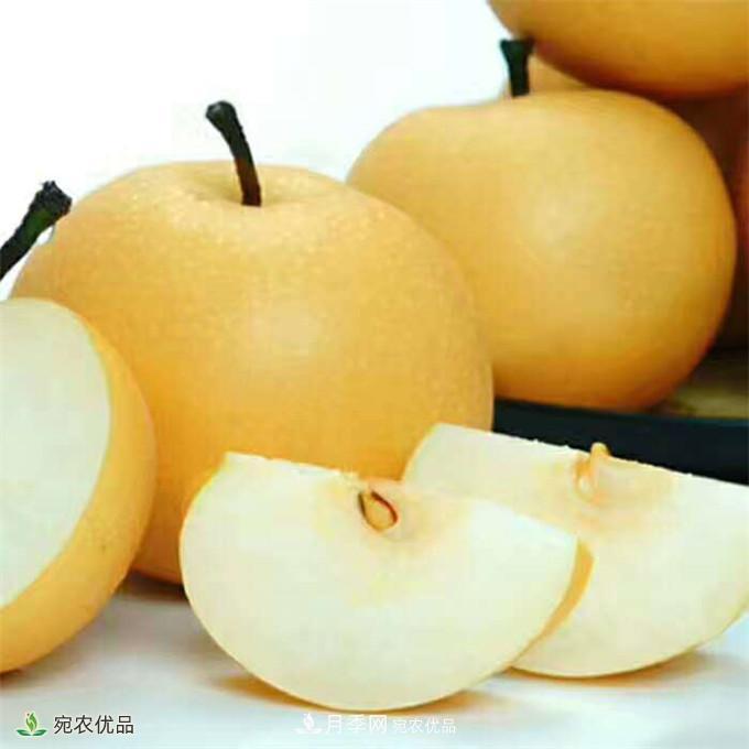 南水北調(diào)有機寶盈蜜梨，南陽淅川特產(chǎn)水果批發(fā)(圖4)