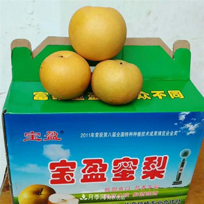 南水北調(diào)有機寶盈蜜梨，南陽淅川特產(chǎn)水果批發(fā)(圖3)