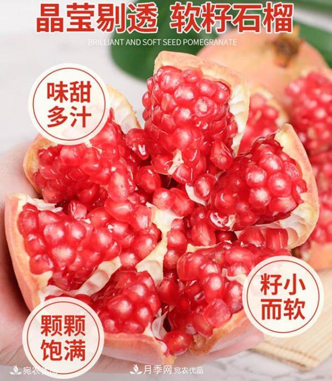 淅川突尼斯軟籽石榴基地批發(fā)價格，好水果(圖1)