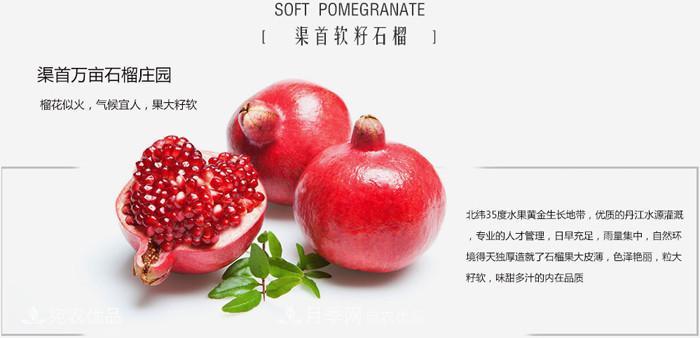 淅川突尼斯軟籽石榴基地批發(fā)價格，好水果(圖3)