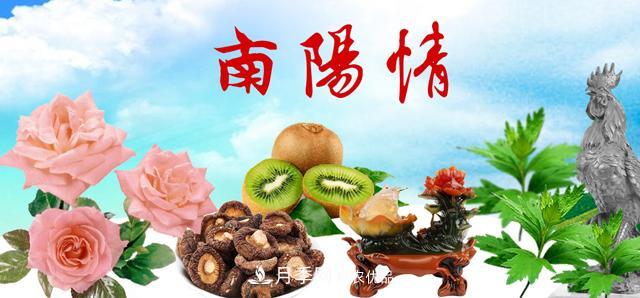 南陽名優(yōu)特農(nóng)產(chǎn)品，中國之鄉(xiāng)譽(yù)響中國(圖1)