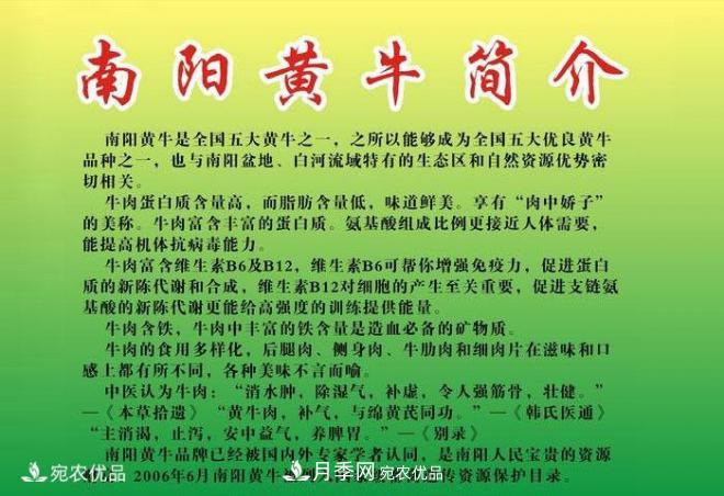 南陽黃牛，中國地理標志保護農(nóng)產(chǎn)品(圖3)