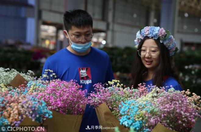 云南昆明：長假“帶火”花卉經濟(圖1)