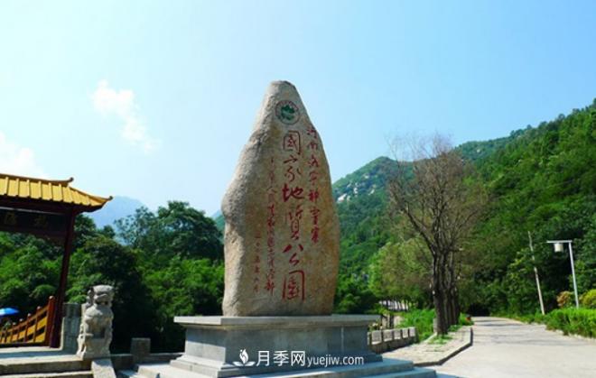 河南五個綠色“海洋”，在20度的森林中呼吸，讓你流連忘返(圖1)