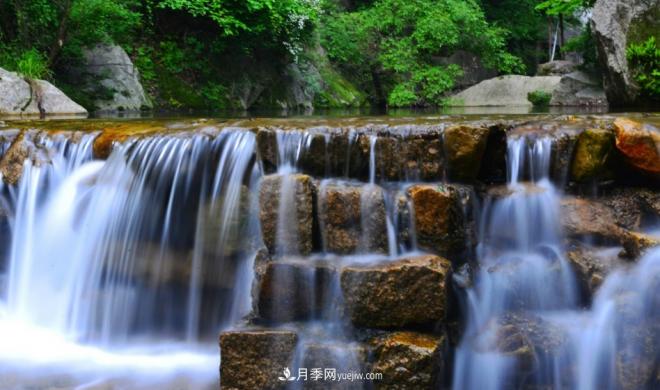河南五個綠色“海洋”，在20度的森林中呼吸，讓你流連忘返(圖2)