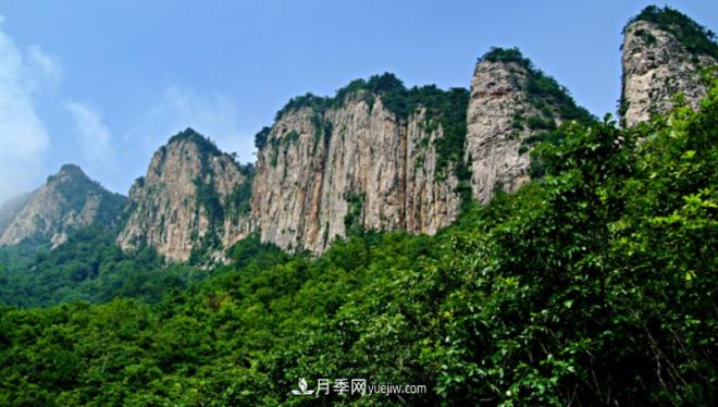 河南五個綠色“海洋”，在20度的森林中呼吸，讓你流連忘返(圖3)