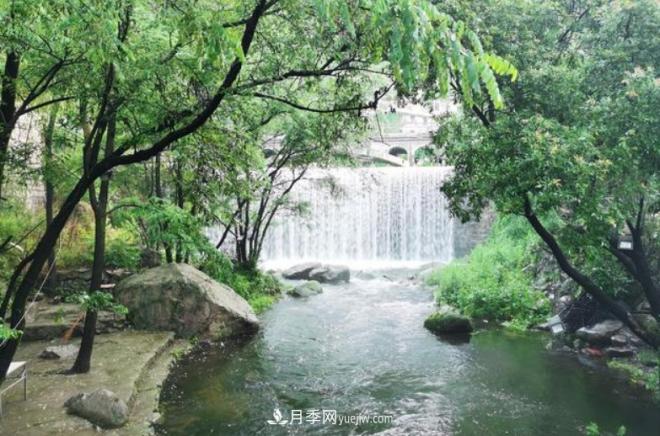河南五個綠色“海洋”，在20度的森林中呼吸，讓你流連忘返(圖4)