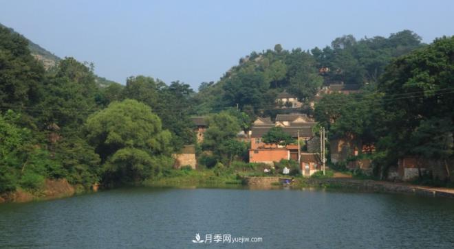 河南五個綠色“海洋”，在20度的森林中呼吸，讓你流連忘返(圖7)