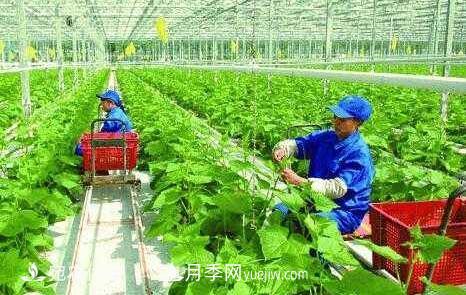 南陽(yáng)有機(jī)農(nóng)業(yè)全國(guó)**是怎樣煉成的？南水北調(diào)水源地生態(tài)農(nóng)業(yè)見(jiàn)聞(圖1)