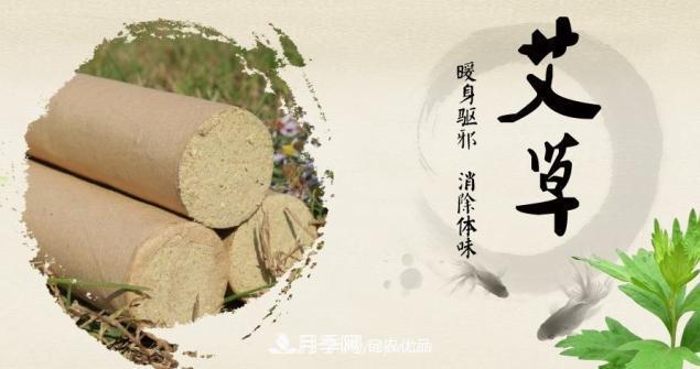 艾草產(chǎn)業(yè)迎發(fā)展時(shí)機(jī) 中國(guó)艾草走向國(guó)際存4難題(圖1)