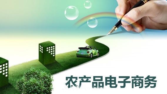 大學(xué)畢業(yè)回鄉(xiāng)創(chuàng)業(yè)電商 誓把南陽(yáng)農(nóng)產(chǎn)品推向世界(圖1)