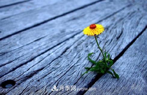 有一種努力叫：以為自己很努力，原來是在刷存在感(圖1)