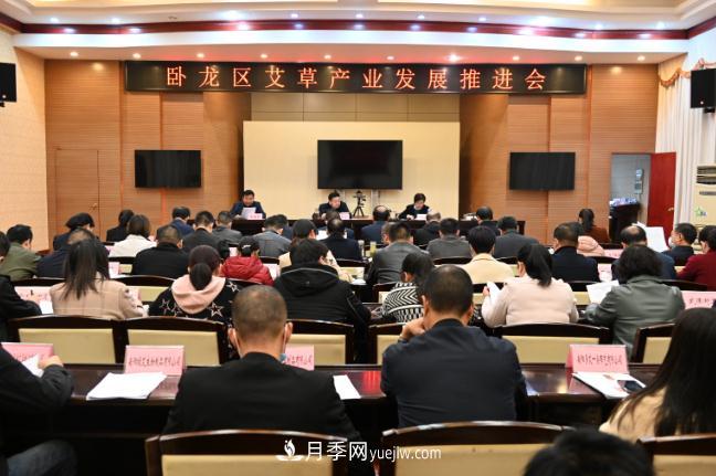 南陽市臥龍區(qū)召開艾草產(chǎn)業(yè)發(fā)展推進(jìn)會(圖1)