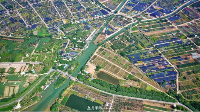 廣東省中山市橫欄鎮(zhèn)，這個(gè)3萬(wàn)畝的花木之鄉(xiāng)，畝均年產(chǎn)值竟達(dá)10萬(wàn)元(圖8)