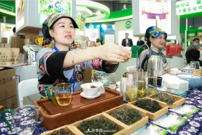 第二十二屆中國中部（湖南）農(nóng)業(yè)博覽會(huì)開幕(圖2)